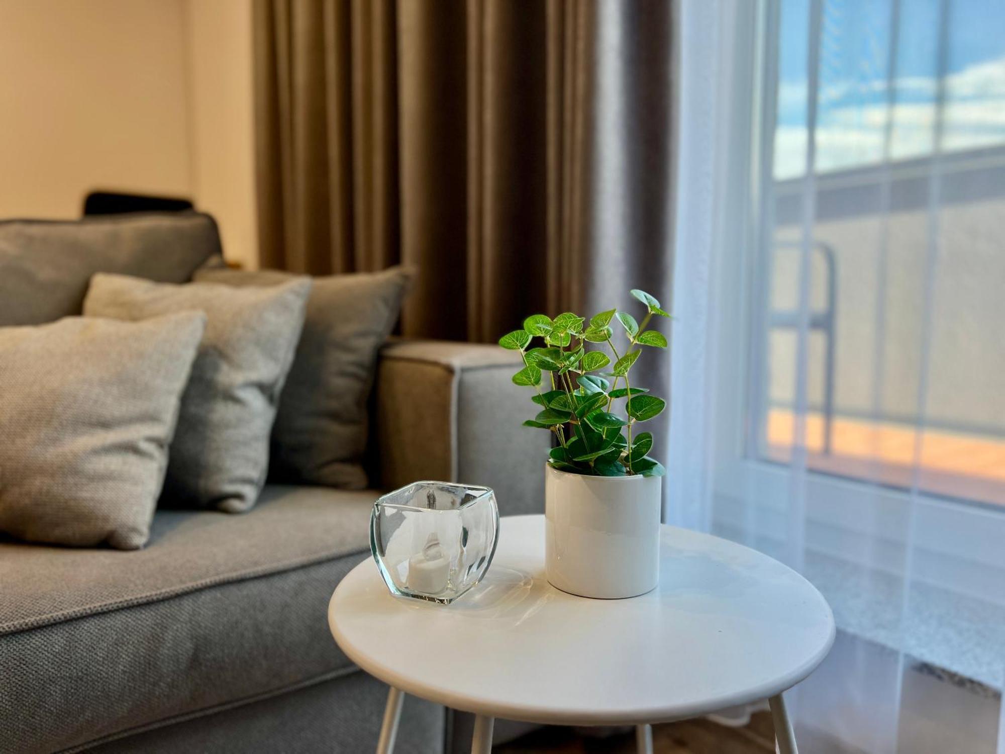 Blue Boho Studios And Apartments Braşov Extérieur photo